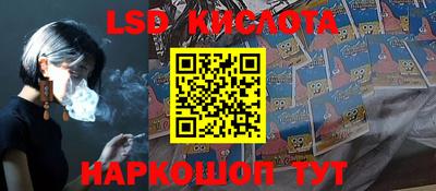 СК Шахты